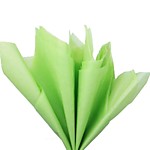 Бумага Тишью 50*60 см Светло-зеленая 10 листов